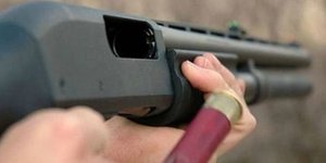 Επιχειρηματίας προσφέρει αμοιβή για την ανακάλυψη του δράστη που σκότωσε έγκυο σκυλίτσα