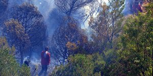 (EUROKINISSI/ ΤΑΤΙΑΝΑ ΜΠΟΛΑΡΗ)