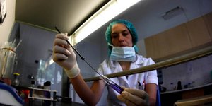 Πολλά υγιή κύτταρα έχουν μεταλλάξεις/Φωτογραφία: AP