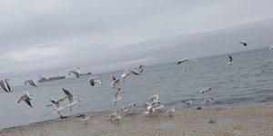 Φωτογραφία: SOOC