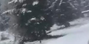 Το έστρωσε στην Ευρυτανία