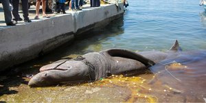 ΙΝΤΙΜΕ/ΛΑΓΟΥΤΑΡΗΣ ΜΑΝΩΛΗΣ