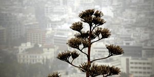 ΦΩΤΟΓΡΑΦΙΑ: EUROKINISSI