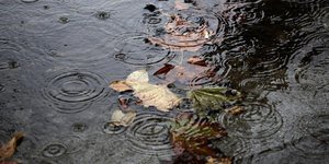 SOOC/ΚΩΝΣΤΑΝΤΙΝΟΣ ΤΣΑΚΑΛΙΔΗΣ