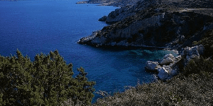 Εμαθαν οι Καταριανοί ότι το νησί είναι δασικό και μας είπαν να φάμε τα πουρνάρια