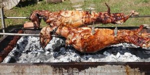 Στοιχήματα για την εκλογή των βουλευτών: Ποντάρουν ακόμη και κατσίκια στα κάρβου
