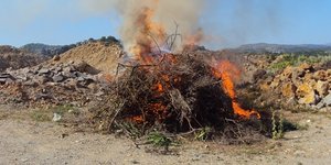 Φωτογραφία: ekriti