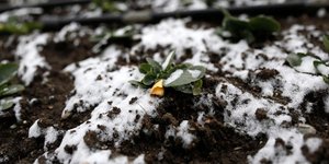 Konstantinos Tsakalidis / SOOC