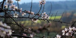 EUROKINISSI/ΑΝΤΩΝΗΣ ΝΙΚΟΛΟΠΟΥΛΟΣ