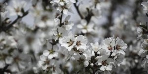 Menelaos Myrillas / SOOC