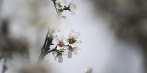 Menelaos Myrillas / SOOC