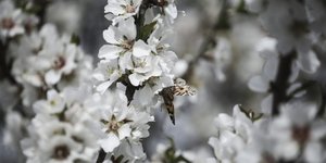 Menelaos Myrillas / SOOC