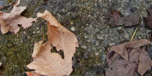 EUROKINISSI/ΓΙΩΡΓΟΣ ΚΟΝΤΑΡΙΝΗΣ