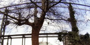 EUROKINISSI/ΓΙΩΡΓΟΣ ΚΟΝΤΑΡΙΝΗΣ