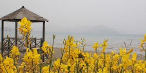 ΦΩΤΟΓΡΑΦΙΑ: EUROKINISSI-ΒΑΣΙΛΗΣ ΠΑΠΑΔΟΠΟΥΛΟΣ