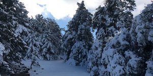 Φωτογραφία: inkefalonia.gr