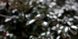 Konstantinos Tsakalidis / SOOC