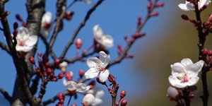 EUROKINSSI/ΓΙΩΡΓΟΣ ΚΟΝΤΑΡΙΝΗΣ