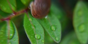 ΦΩΤΟΓΡΑΦΙΑ: ΑΠΕ 