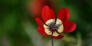 ΦΩΤΟΓΡΑΦΙΑ: ΑΠΕ