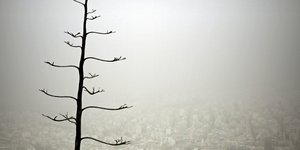 ΦΩΤΟΓΡΑΦΙΑ: Eurokinissi-ΣΤΕΛΙΟΣ ΜΙΣΙΝΑΣ