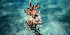 ΦΩΤΟΓΡΑΦΙΑ: EUROKINISSI/ΣΤΕΛΙΟΣ ΜΙΣΙΝΑΣ