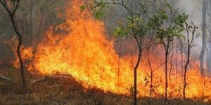 Η φωτιά στην Κερατέα απειλεί σπίτια – Μαίνεται το μέτωπο στη Λακωνία