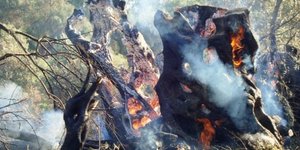 ΦΩΤΟΓΡΑΦΙΑ: kerkyra.net