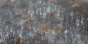 Φωτογραφία: EUROKINISSI/ΘΑΝΑΣΗΣ ΚΑΛΛΙΑΡΑΣ