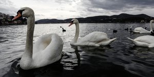 Φωτογραφία: Konstantinos Tsakalidis / SOOC