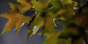 Φωτογραφία: Konstantinos Tsakalidis / SOOC