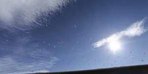 Φωτογραφία: Nikos Libertas / SOOC