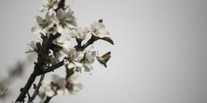 Menelaos Myrillas / SOOC