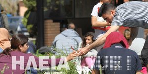 Φωτογραφία: ilialive