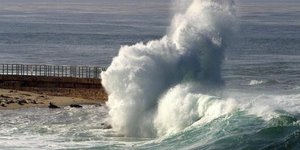 Oσκαρ γκαντεμιάς: Πνίγηκε ενώ σκόρπιζε στη θάλασσα τις στάχτες της συζύγου του