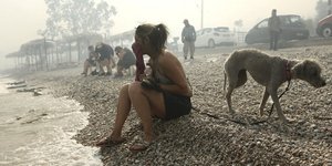 Εγκλωβισμένοι στην παραλία της Κινέτας /Φωτογραφία: Intime News-Λιάκος Γιάννης