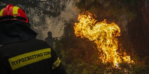πυρκαγιά στην Κινέτα/Φωτογραφία: Eurokinissi/ΣΤΕΛΙΟΣ ΜΙΣΙΝΑΣ