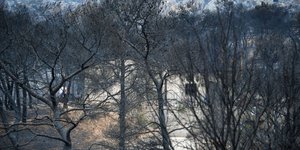 Το δίκτο στην Κινέτα έχει σχεδόν αποκατασταθεί-Φωτογραφία: Eurokinissi/Μιχάλης Καραγιάννης