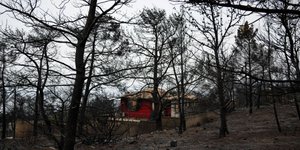 πυρκαγιά στην Κινέτα/Φωτογραφία: Eurokinissi/ΚΑΡΑΓΙΑΝΝΗΣ ΜΙΧΑΛΗΣ