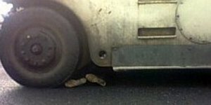 Σοκ: Κυβερνητικός οδοστρωτήρας συνέθλιψε Κινέζο διαδηλωτή [εικόνες]