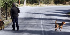 Φωτογράφιση: EUROKINISSI / ΧΑΣΙΑΛΗΣ ΒΑΪΟΣ