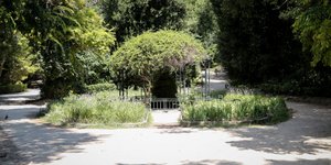Αντιδράσεις για τις εργασίες στον Εθνικό Κήπο/ Φωτογραφία: EUROKINISSI- ΒΑΣΙΛΗΣ ΡΕΜΠΑΠΗΣ