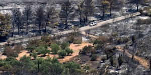Περισσότερα από 20.000 στρέμματα έγιναν στάχτη στα Κύθηρα. Φωτογραφία: INTIME NEWS /ΚΩΤΣΙΑΡΗΣ ΓΙΑΝΝΗΣ
