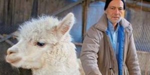 Ο «Νώε» ζει