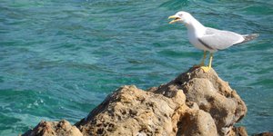 ΦΩΤΟΓΡΑΦΙΑ: EUROKINISSI