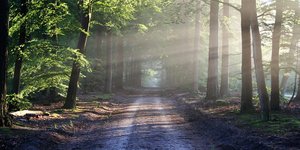 Φωτογραφία: pixabay