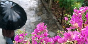 ΦΩΤΟΓΡΑΦΙΑ: EUROKINISSI /ΓΙΩΡΓΟΣ ΚΟΝΤΑΡΙΝΗΣ