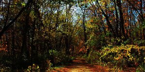 Φωτογραφία: pixabay