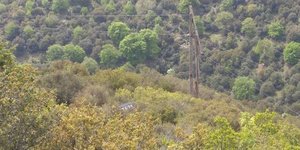 ΦΩΤΟΓΡΑΦΙΑ: kozanimedia.gr