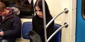 Φωτογραφία: Twitter